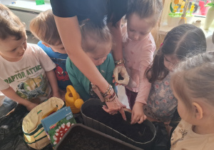 Dzieci sadzą cebulki roślin.