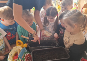 Dzieci sadzą cebulki roślin.