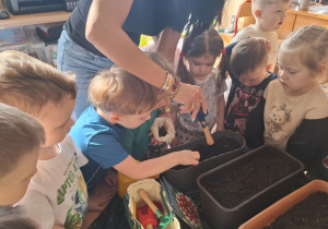 Dzieci sadzą cebulki roślin.