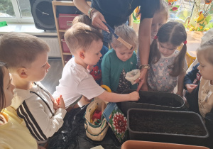 Dzieci sadzą cebulki roślin.