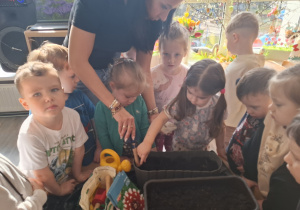 Dzieci sadzą cebulki roślin.