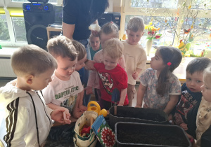 Dzieci sadzą cebulki roślin.