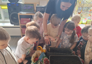 Dzieci sadzą cebulki roślin.