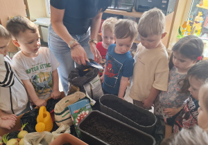 Dzieci sadzą cebulki roślin.