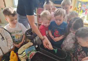 Dzieci sadzą cebulki roślin.