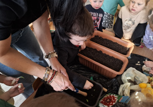 Dzieci sadzą cebulki roślin.