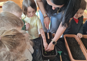 Dzieci sadzą cebulki roślin.