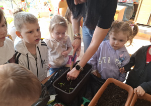 Dzieci sadzą cebulki roślin.