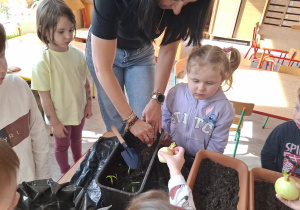 Dzieci sadzą cebulki roślin.