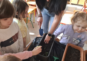 Dzieci sadzą cebulki roślin.