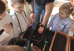 Dzieci sadzą cebulki roślin.