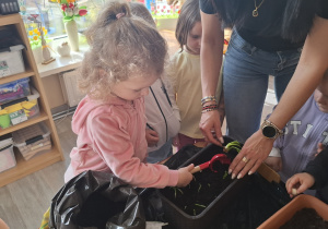 Dzieci sadzą cebulki roślin.