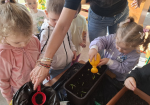 Dzieci sadzą cebulki roślin.