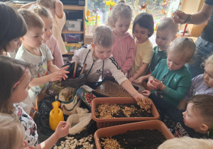 Dzieci sadzą cebulki roślin.