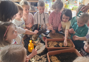 Dzieci sadzą cebulki roślin.