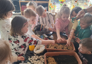 Dzieci sadzą cebulki roślin.