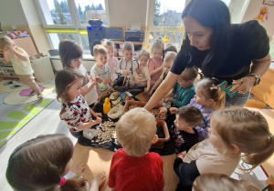 Dzieci sadzą cebulki roślin.