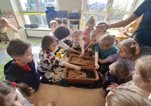 Dzieci sadzą cebulki roślin.