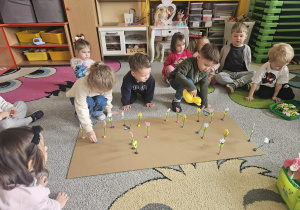 Przeliczanie kwiatków w ogródku prowizorycznym, nauka kolorów.