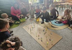 Przeliczanie kwiatków w ogródku prowizorycznym, nauka kolorów.