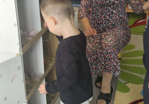 Dzieci przeliczają jajka w kurniku.