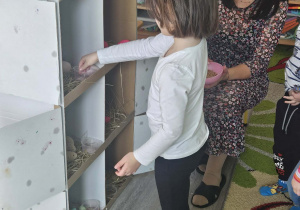 Dzieci przeliczają jajka w kurniku.