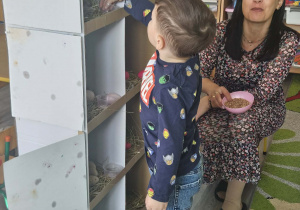 Dzieci przeliczają jajka w kurniku.