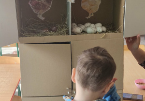 Dzieci przeliczają jajka w kurniku.