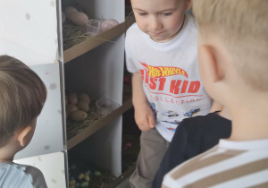 Dzieci przeliczają jajka w kurniku.
