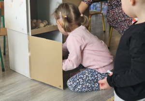 Dzieci przeliczają jajka w kurniku.