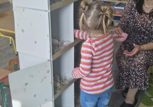 Dzieci przeliczają jajka w kurniku.