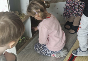 Dzieci przeliczają jajka w kurniku.