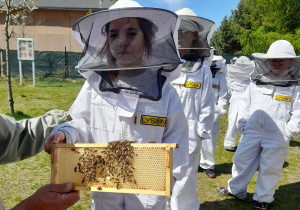 Dziecko w stroju pszczelarza trzyma pszczoły.