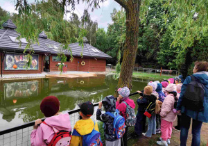 Przedszkolaki oglądają zoo w Borysewie.