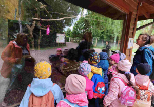 Przedszkolaki oglądają zoo w Borysewie.