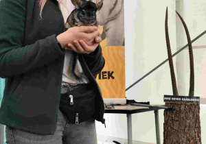 Przedszkolaki oglądają zoo w Borysewie.