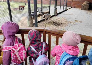 Przedszkolaki oglądają zoo w Borysewie.