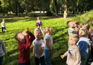 Mali badacze przyrody.