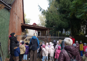 Dzieci oglądają zwierzątka.