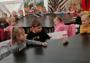 Dzieci w zoo Borysewie.