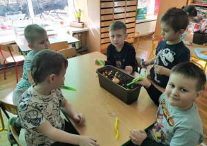 Dzieci przy stoliku sadzą cebulę w doniczce.
