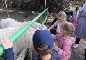 Dzieci dokarmiają zwierzęta.