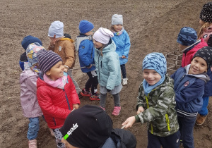 Dzieci bronują pole.
