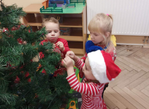 Tygryski ubierają choinkę.