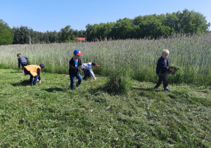 Dzieci zbierają świeżo skoszoną trawę na łące.