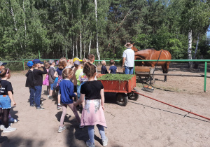 Dzieci stoją przed wybiegiem dla koni i dają im trawę.
