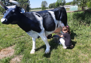 Dziewczynka doi krowę.