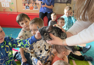 Dzieci podziwiają zwierzęta i słuchają ciekawostek na ich temat.