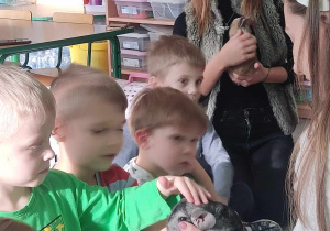 Dzieci podziwiają zwierzęta i słuchają ciekawostek na ich temat.